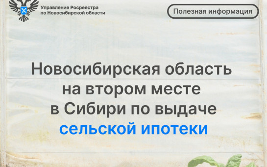 Новосибирская область на втором месте в Сибири по выдаче сельской ипотеки
