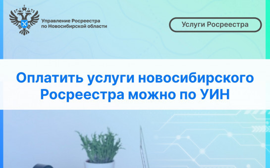 Оплатить услуги новосибирского Росреестра можно по УИН